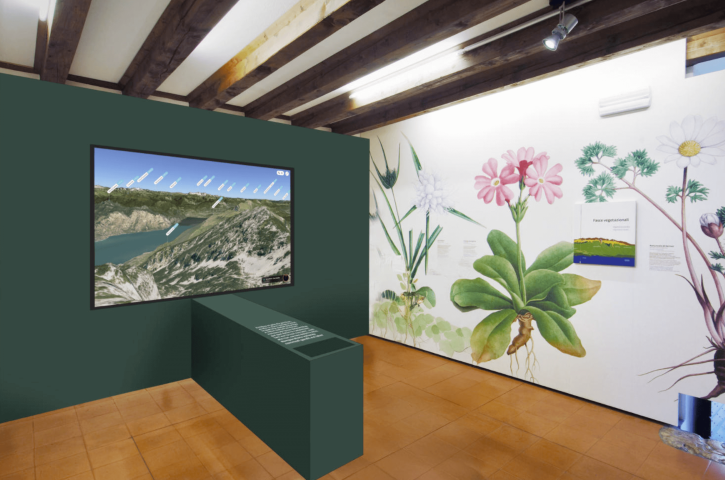 Museo di Storia Naturale – Castello Scaligero